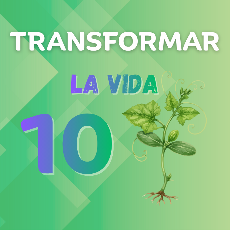 Transformar