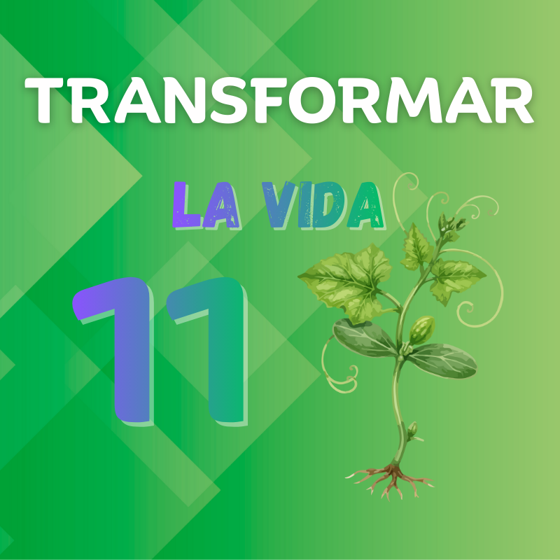 Transformar