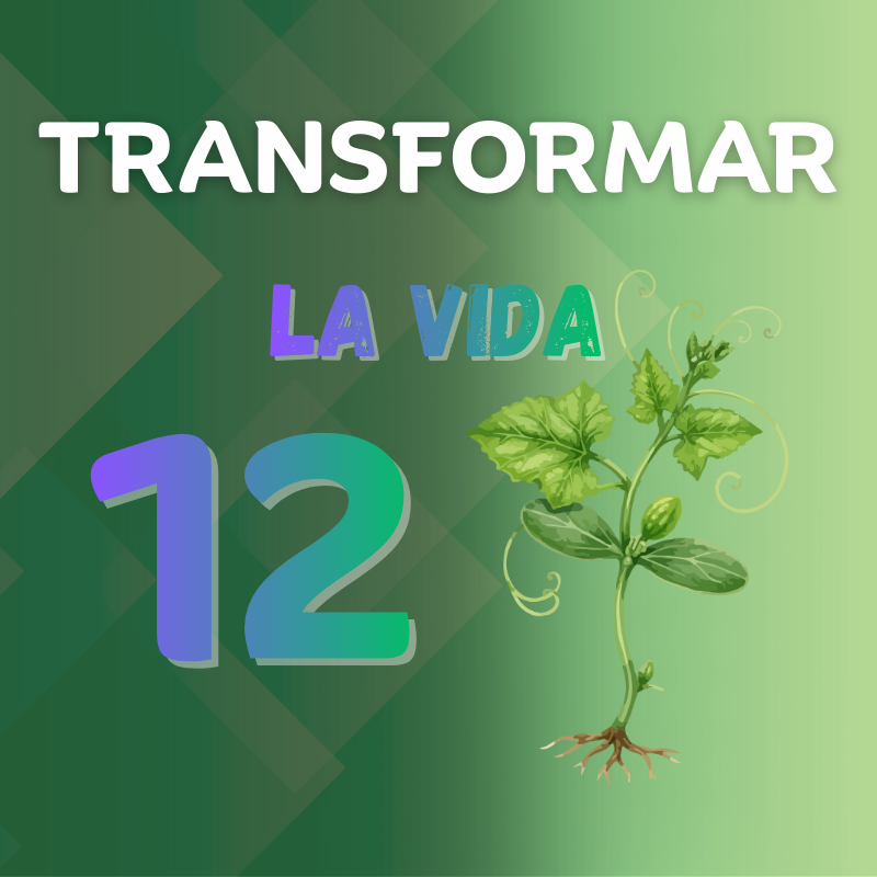 Transformar