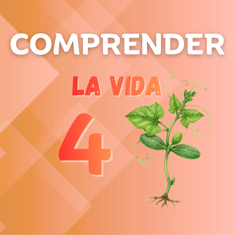 Comprender