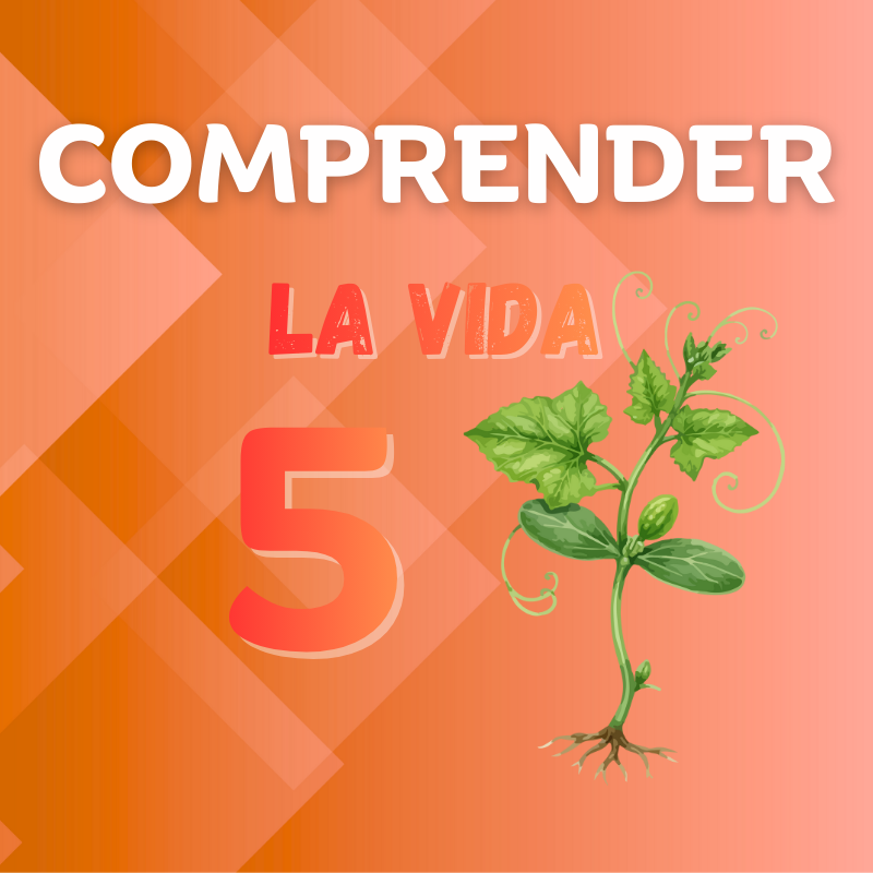 Comprender